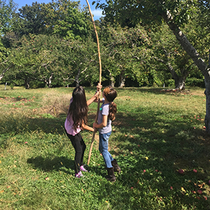 Two young girls standing outside in the grass using a long stick to shake a tree above them