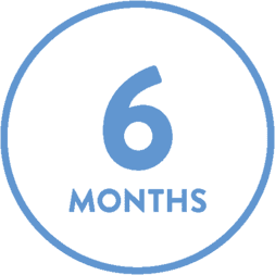 THE SIX MONTH VISIT