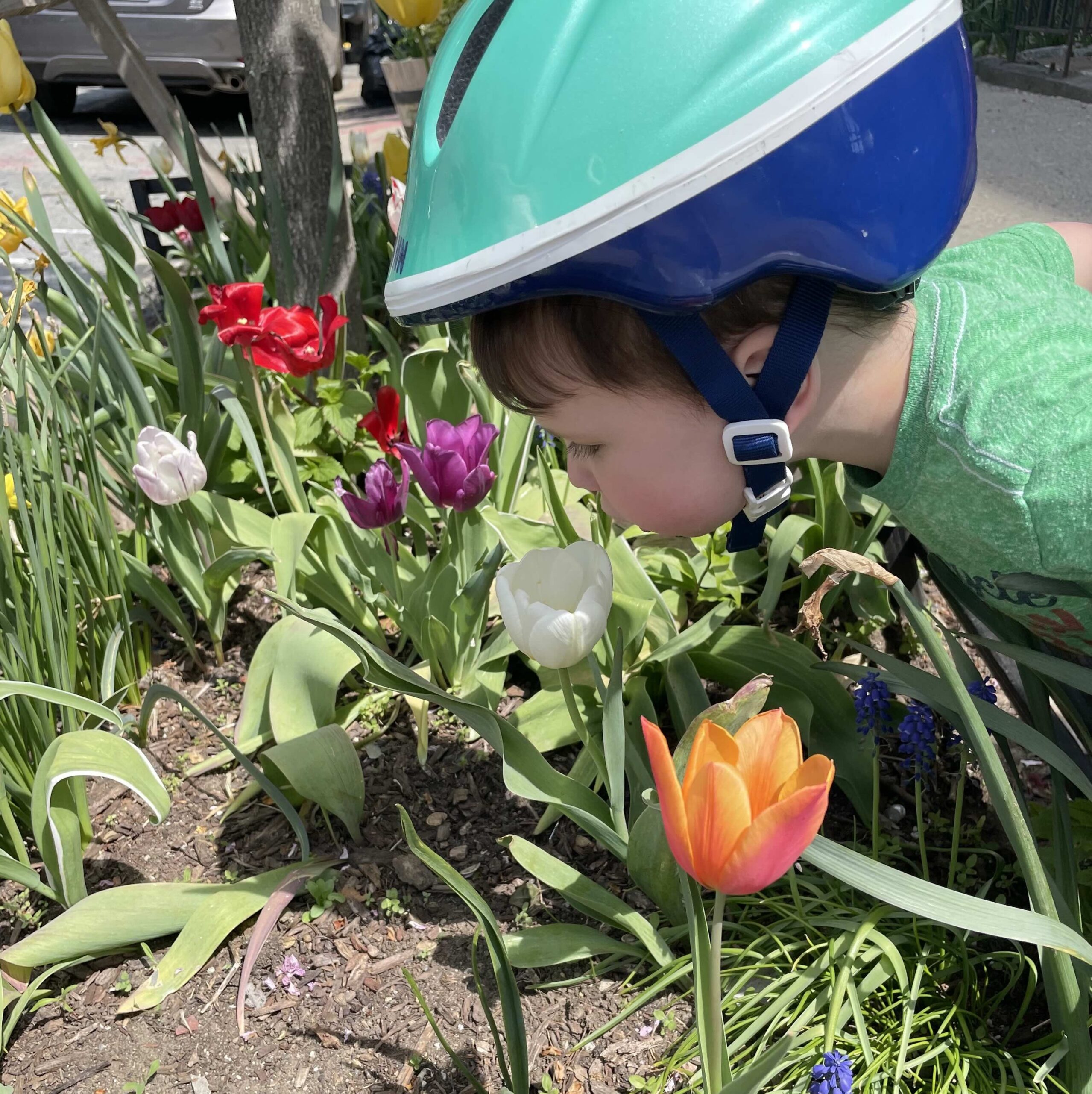 67d82e43 a4eb 4849 9d01 e542931fa9a8